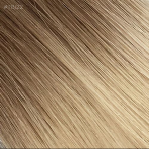 Honey Blonde Melt Clip In